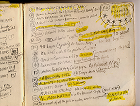 Transcripts 30