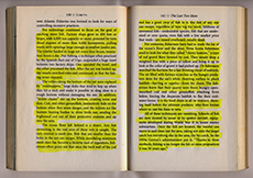 Transcripts 3yellow jpeg